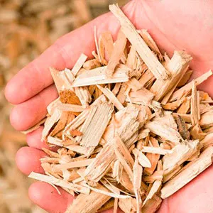 Хвойная щепа оптом в Челябинске и других различных марок заказать от 16 тонн