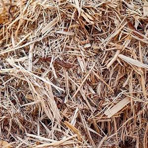 Щепа для арболита оптом в Челябинске и других различных марок заказать от 16 тонн