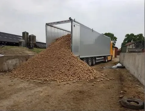 Услуги транспортировки легких грузов